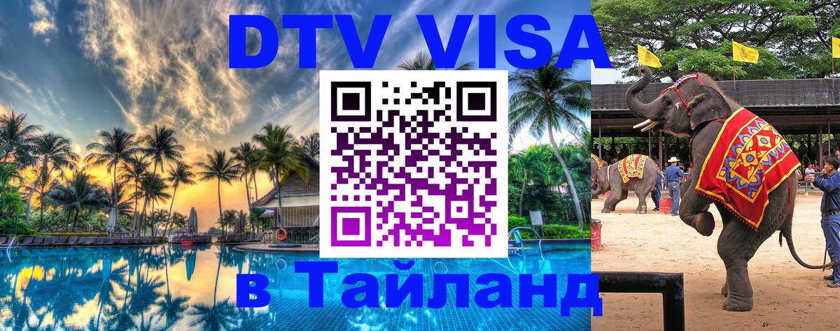 Сколько стоит DTV виза — актуальные цены, оформление даже без документов - Волгодонск  05.10.2025 